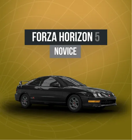Novice account